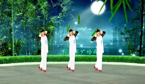 月光下的凤尾竹舞视频,凤尾竹舞动心灵