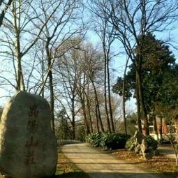 胜景山庄视频大全,全景视频大赏，尽览山水之美