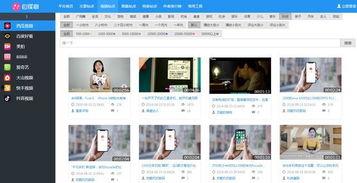 国外视频网站你懂的,你懂的背后的秘密与魅力